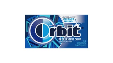 Orbit Sugar Free Peppermint Chewing Gum Single