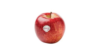 Envy Apple (each)