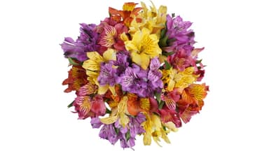 Rainbow Alstroemeria Flower Bouquet