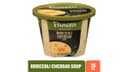 Panera Bread Broccoli Cheddar Soup Cup