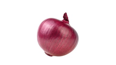 Red Onion (each)