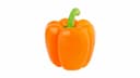 Orange Bell Pepper (each)