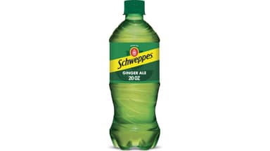 Schweppes Ginger Ale Soda PET