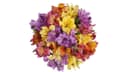 10-Stem Rainbow Alstroemeria Bouquet