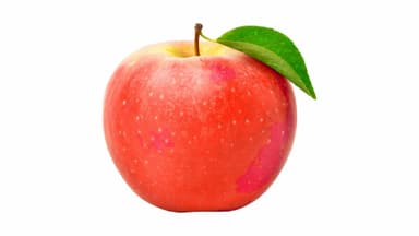 Fuji Apple (each)