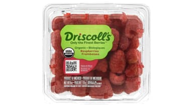 Driscoll's Organic Raspberries